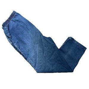 Women’s Faded Glory Plus Stretch Jeans Elastic Waist Size 16W Petite